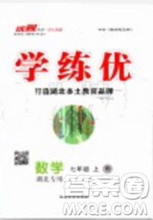 湖北專版2019年優(yōu)翼學(xué)練優(yōu)七年級(jí)數(shù)學(xué)上冊(cè)RJ人教版參考答案