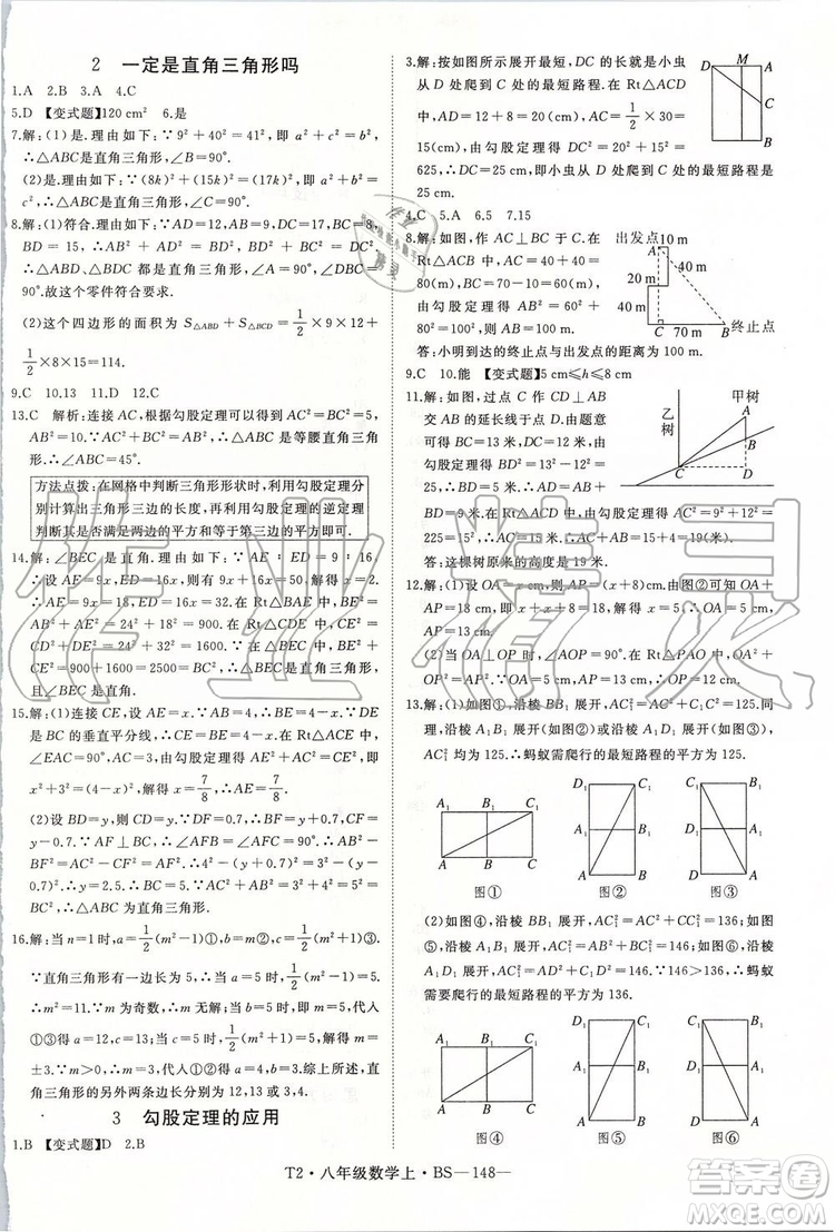 北師大版2019年優(yōu)翼學(xué)練優(yōu)八年級數(shù)學(xué)上冊參考答案