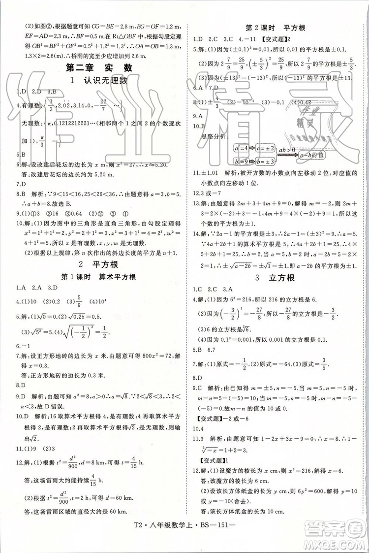 北師大版2019年優(yōu)翼學(xué)練優(yōu)八年級數(shù)學(xué)上冊參考答案