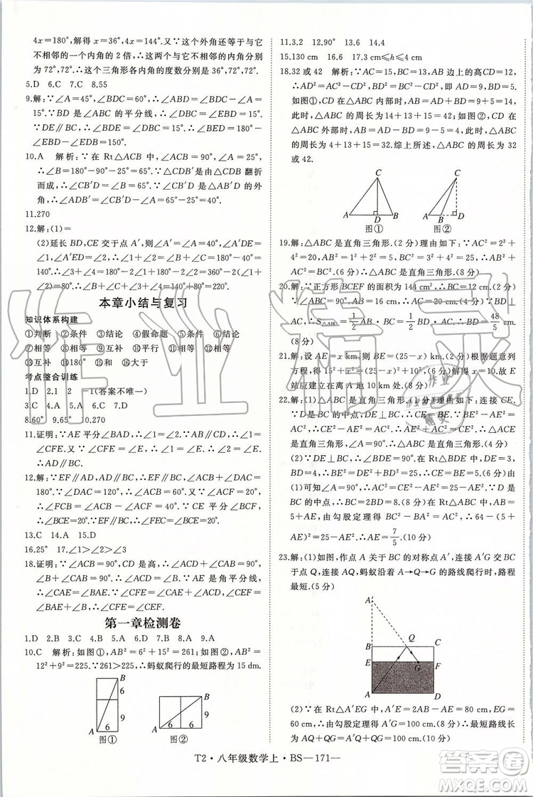 北師大版2019年優(yōu)翼學(xué)練優(yōu)八年級數(shù)學(xué)上冊參考答案