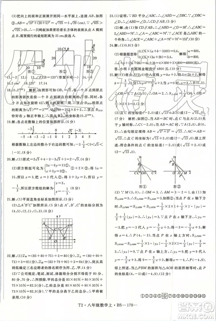 北師大版2019年優(yōu)翼學(xué)練優(yōu)八年級數(shù)學(xué)上冊參考答案