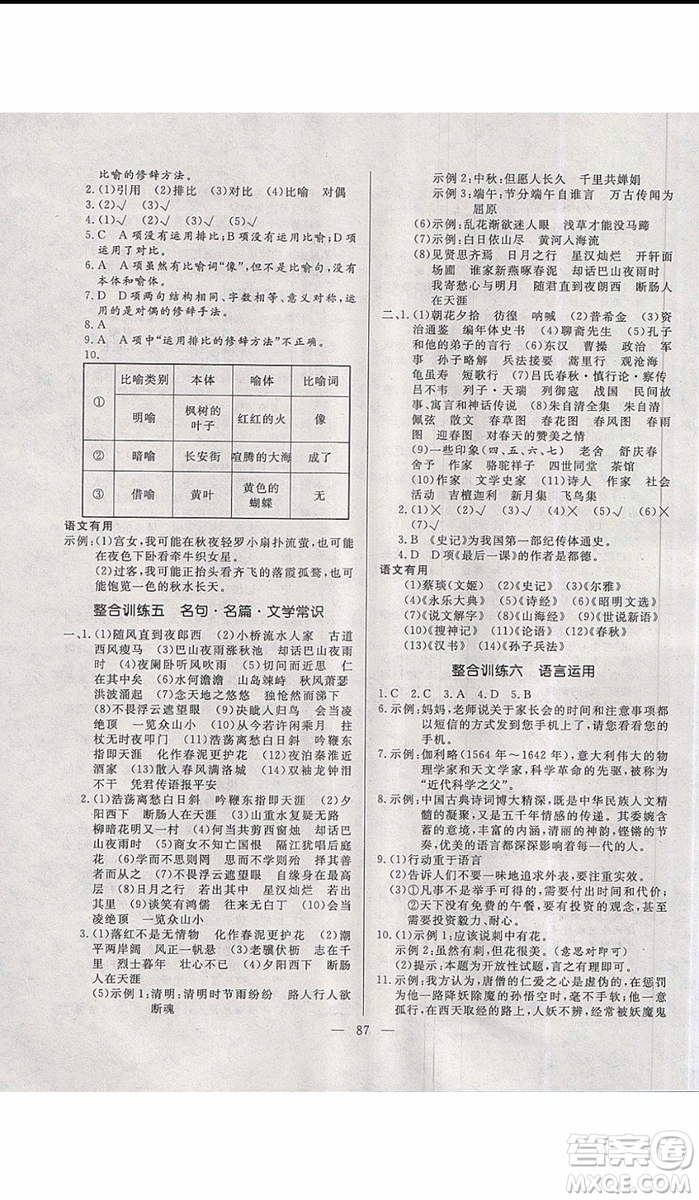 2019年高效A計劃期末暑假銜接七年級語文人教版RJ參考答案