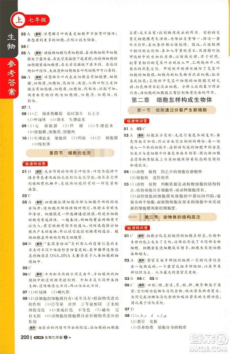 1+1輕巧奪冠2019課堂直播七年級上冊生物人教版答案