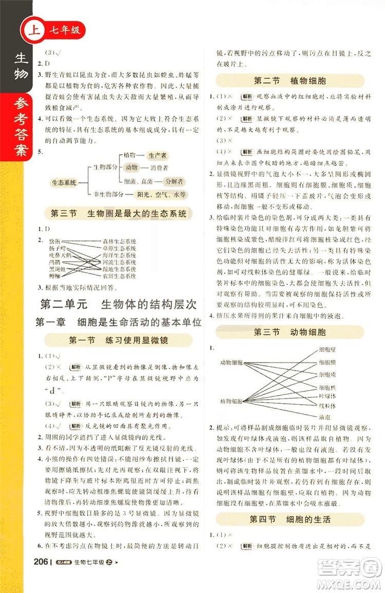 1+1輕巧奪冠2019課堂直播七年級上冊生物人教版答案