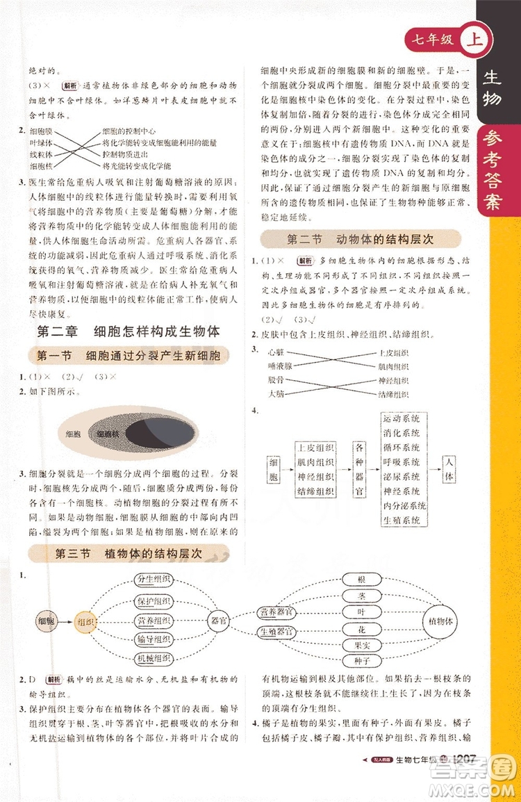 1+1輕巧奪冠2019課堂直播七年級上冊生物人教版答案