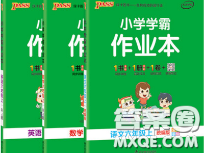 2019年秋小學學霸作業(yè)本六年級數(shù)學上冊人教版答案