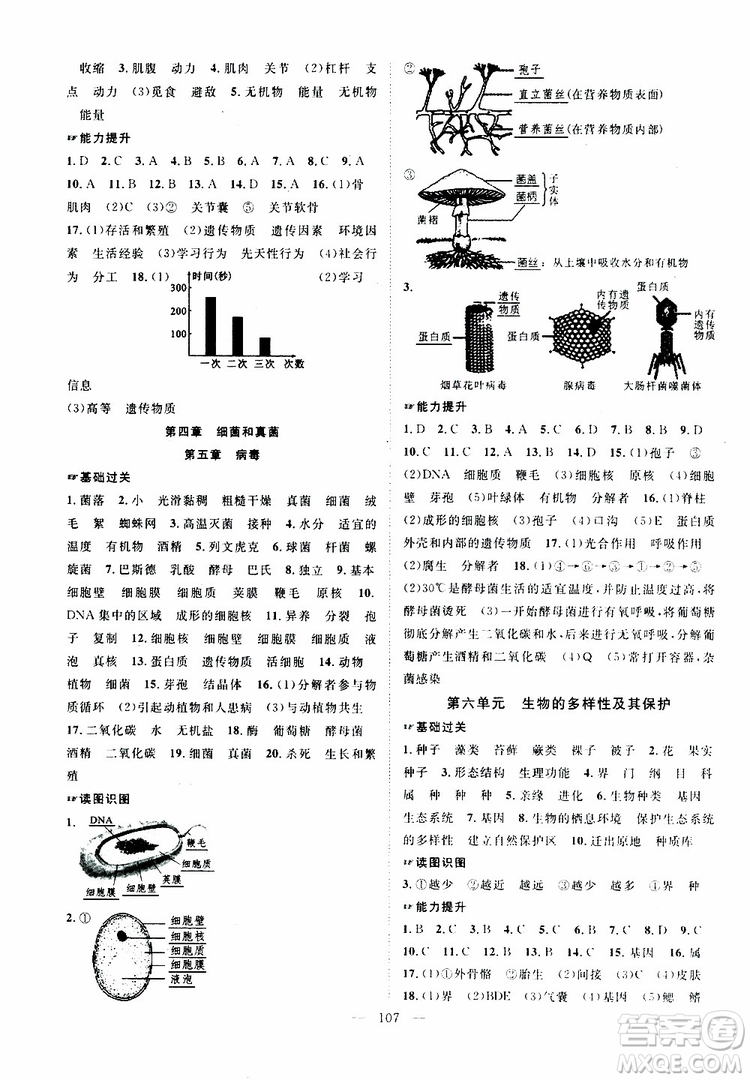 萬羽文化2019年秋生物名師學(xué)案分層進(jìn)階學(xué)習(xí)法八年級(jí)上冊(cè)參考答案