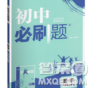 2019年新版初中必刷題八年級(jí)上冊(cè)數(shù)學(xué)人教版答案