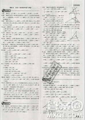 2019年新版初中必刷題八年級(jí)上冊(cè)數(shù)學(xué)人教版答案