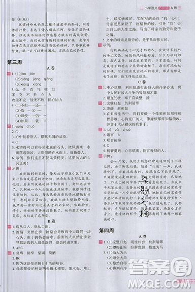 2019秋新版木頭馬閱讀小卷小學(xué)語(yǔ)文5年級(jí)A版參考答案