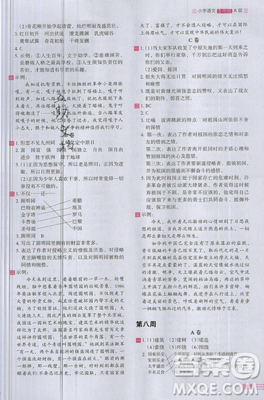 2019秋新版木頭馬閱讀小卷小學(xué)語(yǔ)文5年級(jí)A版參考答案