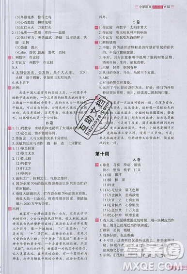 2019秋新版木頭馬閱讀小卷小學(xué)語(yǔ)文5年級(jí)A版參考答案