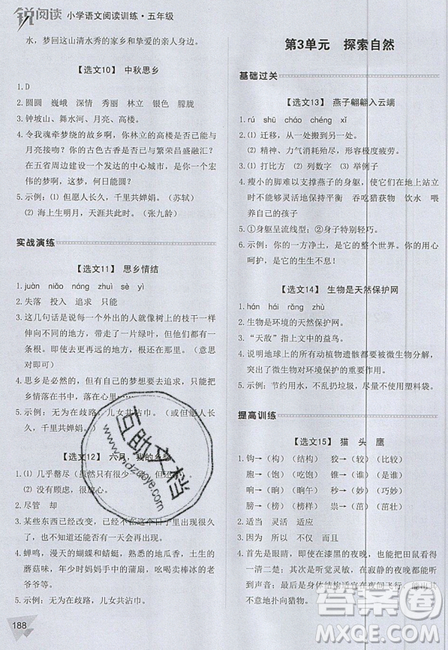 2019新版銳閱讀小學(xué)語(yǔ)文閱讀訓(xùn)練100篇五年級(jí)通用版參考答案