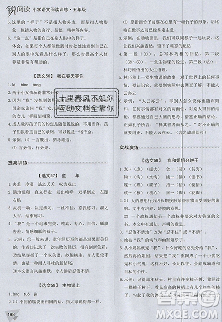 2019新版銳閱讀小學(xué)語(yǔ)文閱讀訓(xùn)練100篇五年級(jí)通用版參考答案