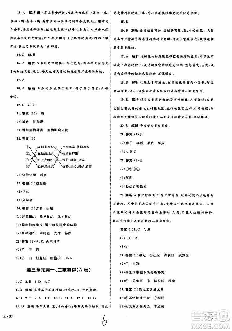 2019年優(yōu)化設(shè)計(jì)單元測(cè)試卷七年級(jí)上冊(cè)生物RJ人教版參考答案