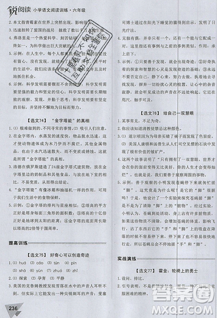 2019新版銳閱讀小學(xué)語文閱讀訓(xùn)練100篇六年級通用版參考答案