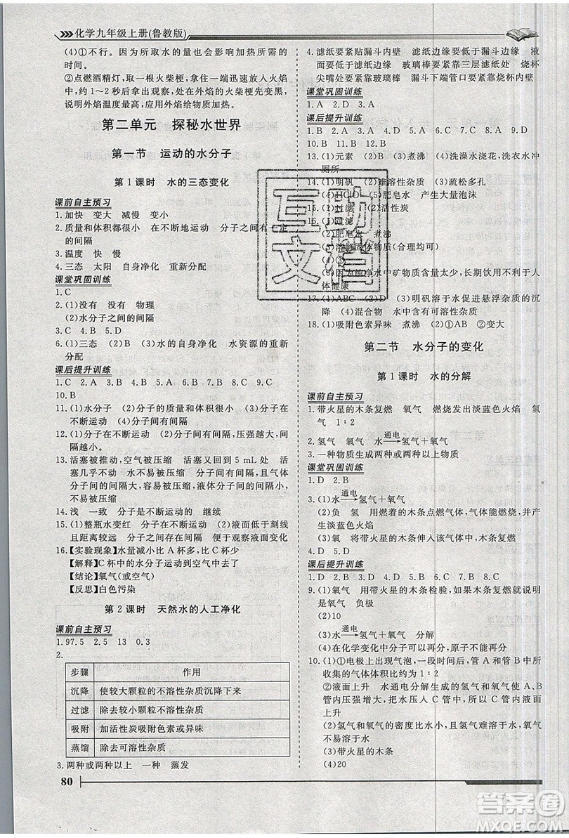 2019標(biāo)準(zhǔn)課堂作業(yè)九年級化學(xué)上冊魯教版答案