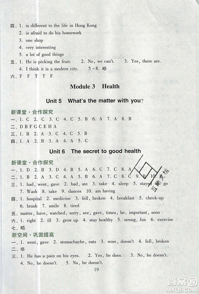 2019南方新課堂金牌學(xué)案六年級(jí)英語(yǔ)上冊(cè)教育科學(xué)版答案