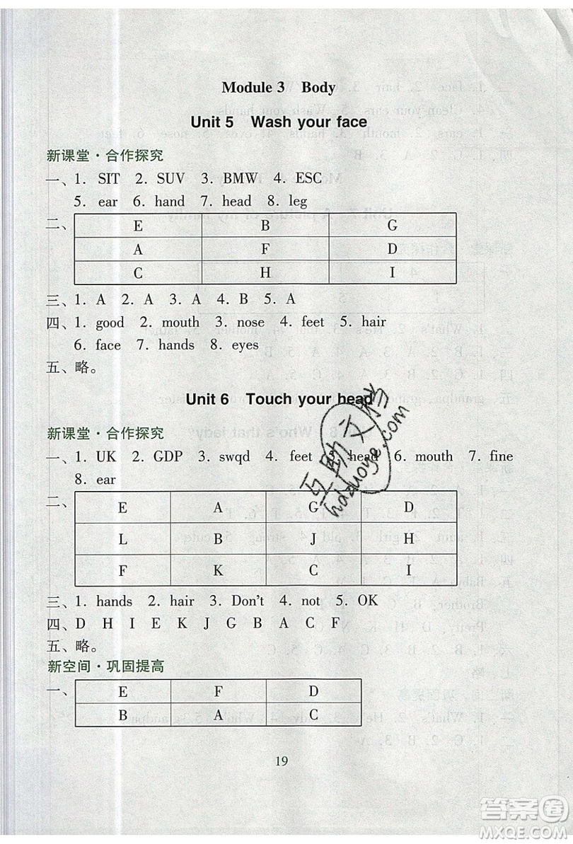 2019南方新課堂金牌學(xué)案三年級(jí)英語(yǔ)上冊(cè)教育科學(xué)版答案