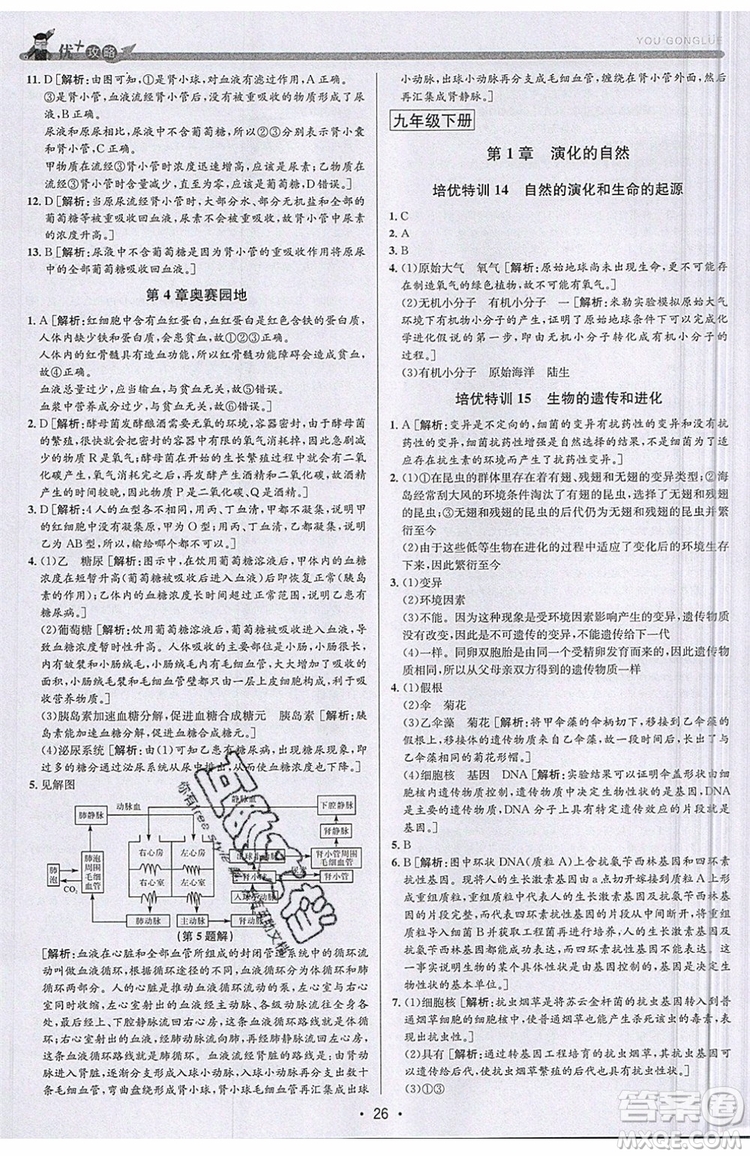 2019新版優(yōu)+攻略銜接中考版九年級科學全一冊ZJ浙教版參考答案