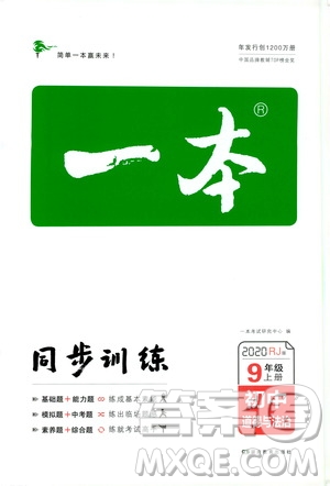 湖南教育出版社2020一本同步訓(xùn)練9年級道德與法治人教版全一冊答案