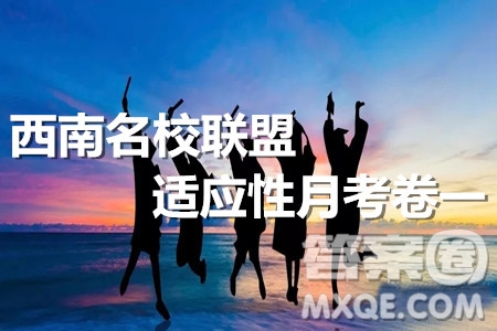 2020屆西南名校聯(lián)盟高考適應(yīng)性月考卷一文科數(shù)學(xué)試題及答案