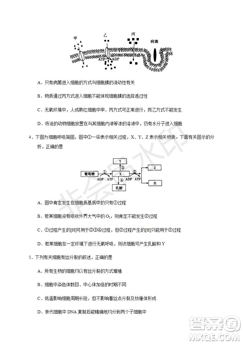 焦作市普通高中2019—2020學(xué)年新高三年級定位考試生物試題及答案