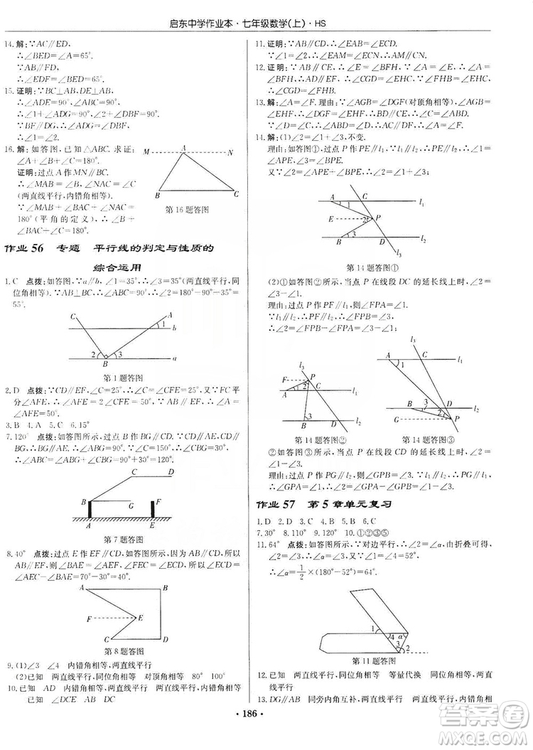 龍門書局2019啟東中學作業(yè)本7年級數(shù)學上冊華師HS版答案