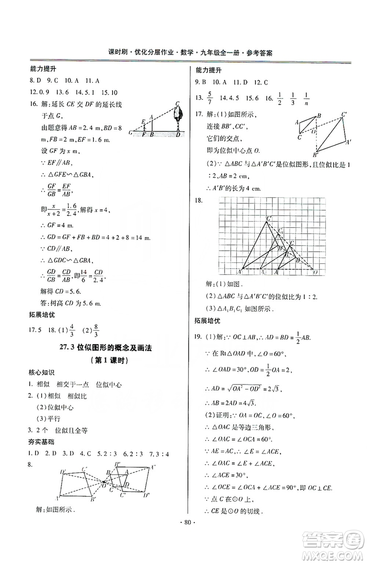 馳逐文化2019課時(shí)刷優(yōu)化分層作業(yè)九年級(jí)數(shù)學(xué)全一冊(cè)答案