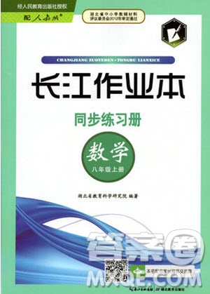 2019年長江作業(yè)本同步練習(xí)冊數(shù)學(xué)八年級上冊人教版答案