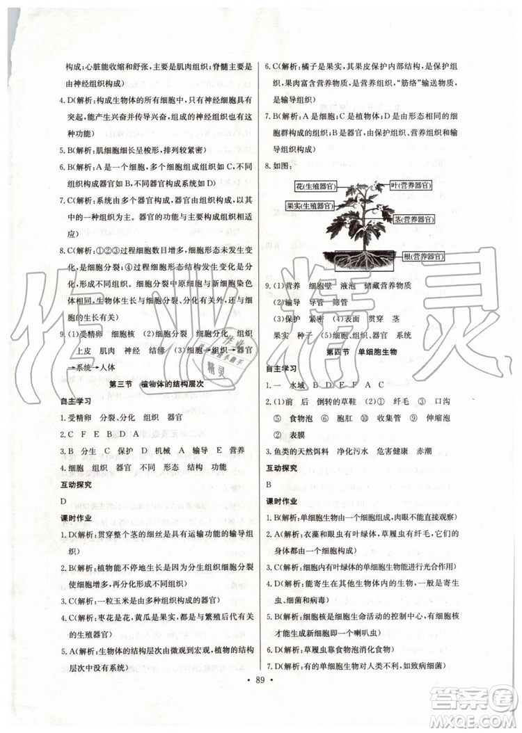 2019新長(zhǎng)江全能學(xué)案初中七年級(jí)上冊(cè)生物學(xué)人教版同步練習(xí)冊(cè)答案