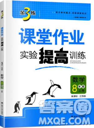 2019秋金3練課堂作業(yè)實(shí)驗(yàn)提高訓(xùn)練數(shù)學(xué)八年級(jí)上冊(cè)新課標(biāo)江蘇版參考答案