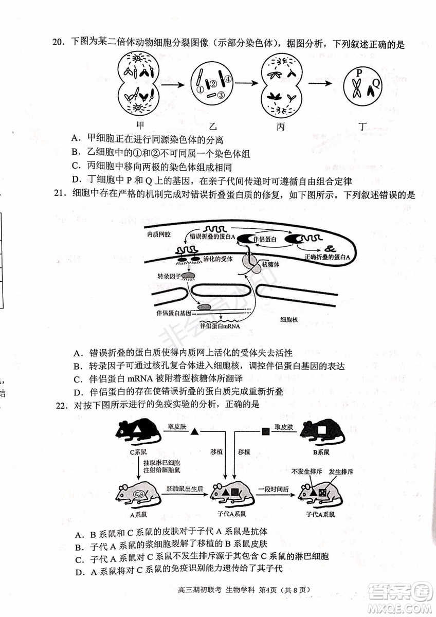 2019學(xué)年第一學(xué)期浙江七彩陽光聯(lián)盟期初聯(lián)考生物試題及答案