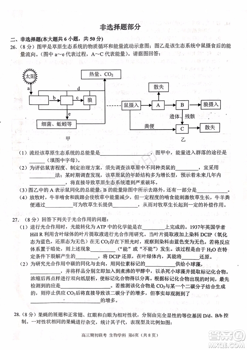 2019學(xué)年第一學(xué)期浙江七彩陽光聯(lián)盟期初聯(lián)考生物試題及答案