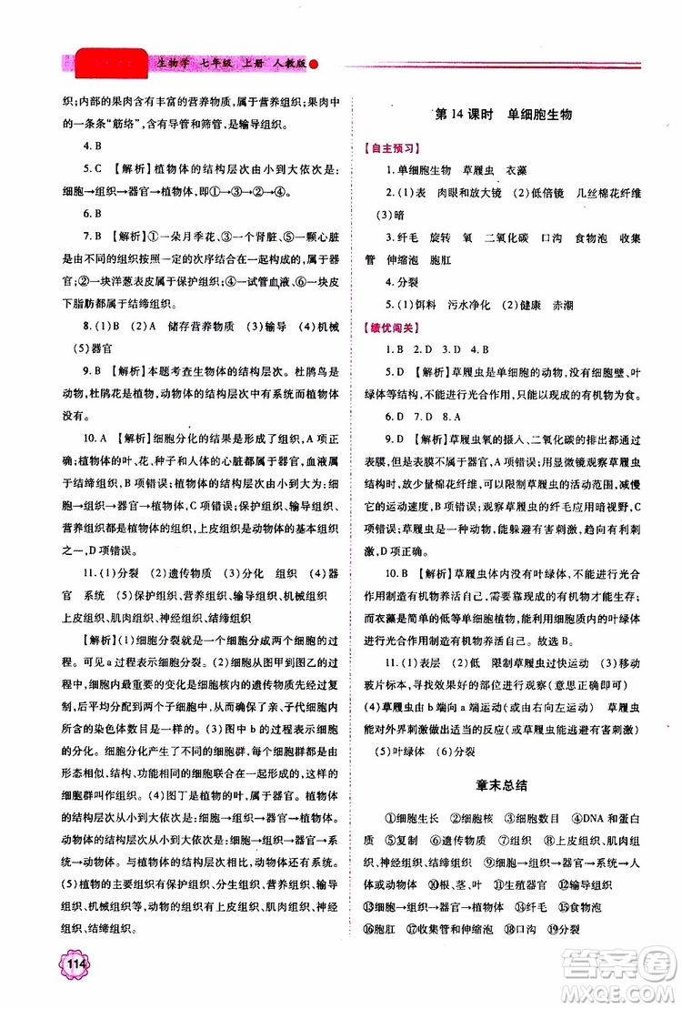 公告目錄教輔2019年績優(yōu)學(xué)案生物學(xué)七年級(jí)上冊(cè)人教版參考答案