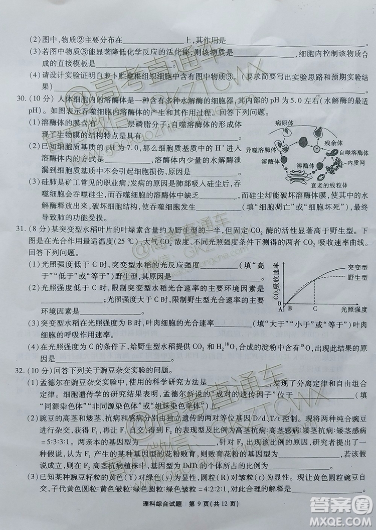 2020屆四省八校聯(lián)盟高三聯(lián)考文理綜參考答案