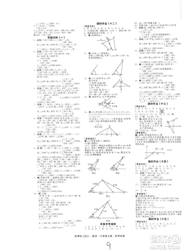 陽(yáng)光出版社2019全品學(xué)練考作業(yè)手冊(cè)八年級(jí)數(shù)學(xué)上冊(cè)浙教版答案