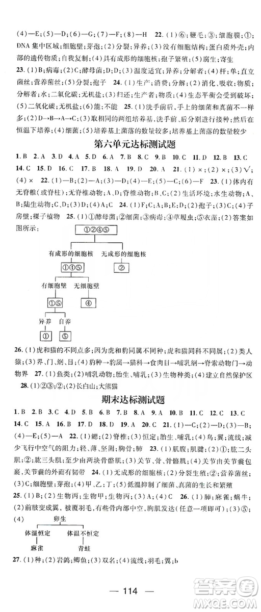 鴻鵠志文化2019精英新課堂8年級生物上冊人教版答案