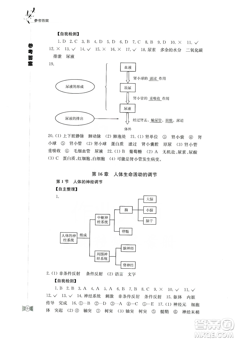 江蘇鳳凰教育出版社2019學(xué)習(xí)與評(píng)價(jià)八年級(jí)生物上冊(cè)蘇教版答案