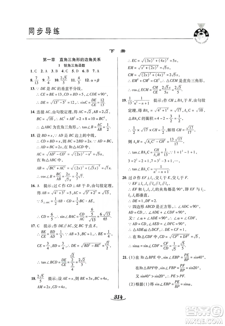 陜西科學(xué)技術(shù)出版社2019新課標(biāo)教材同步導(dǎo)練九年級數(shù)學(xué)全一冊答案