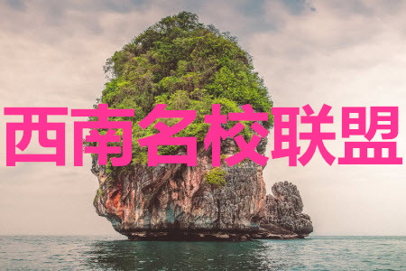 2020屆西南名校聯(lián)盟高考適應(yīng)性月考卷二語(yǔ)文試題及參考答案