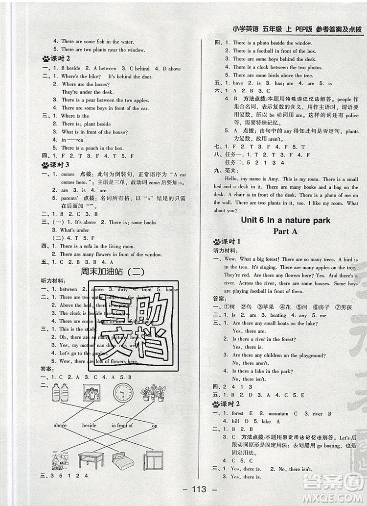 2019年綜合應(yīng)用創(chuàng)新題典中點五年級英語上冊人教PEP版參考答案