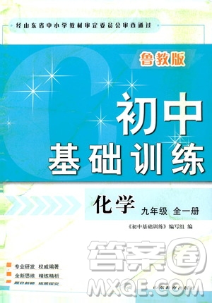 山東教育出版社2019初中基礎(chǔ)訓(xùn)練九年級(jí)化學(xué)全一冊(cè)人教版答案