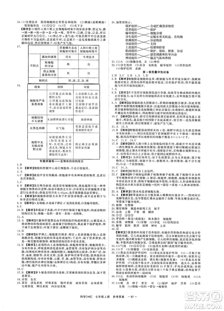 2019全效提分卷七年級(jí)上冊(cè)科學(xué)華師版HS答案