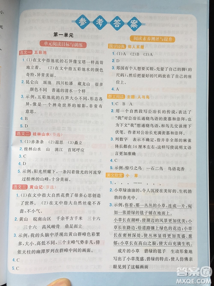 2019年陽光同學(xué)同步閱讀素養(yǎng)測試小學(xué)語文四年級上冊參考答案