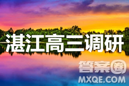 2020屆湛江市高三9月調(diào)研考試文科數(shù)學試題及參考答案