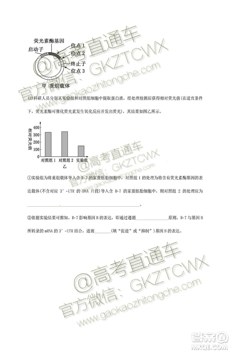 2020屆深圳市高級(jí)中學(xué)高三上學(xué)期第一次測(cè)試文理綜試題及答案