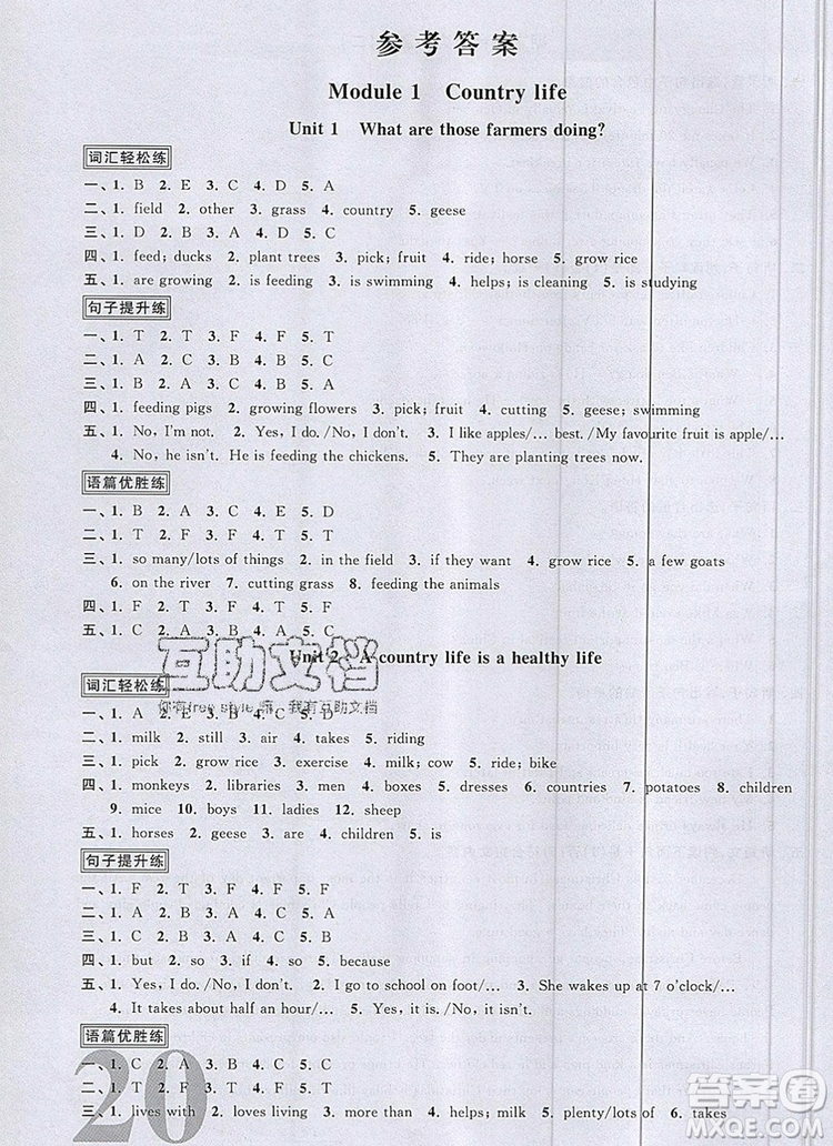 2019年陽光同學課時優(yōu)化作業(yè)六年級英語上冊教科版參考答案