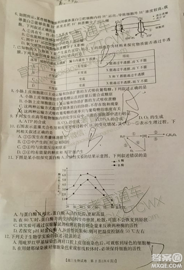 2020湖南金太陽高三9月聯(lián)考生物試題及參考答案