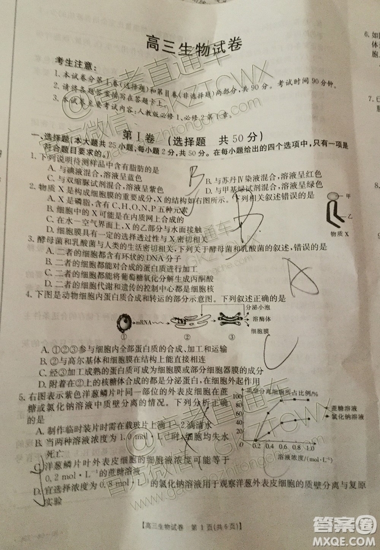 2020湖南金太陽高三9月聯(lián)考生物試題及參考答案